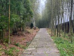 -广州市石门国家森林公园