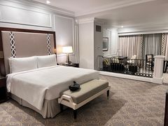 -澳门威尼斯人综合度假区