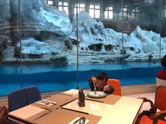 -帝企鹅自助餐厅•儿童岛•真企鹅(长隆企鹅酒店)