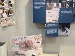 -伟伟宠物医院·CT影像中心·瑞派犬猫综合性门诊(汉口总院)
