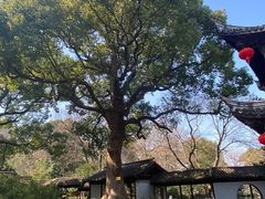 -惠山古镇·寄畅园