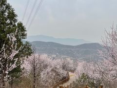 -定都阁