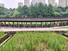 -龙头寺公园