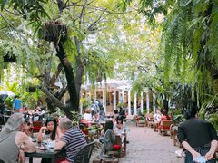 -Fern Forest Cafe
