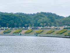 -东莞植物园