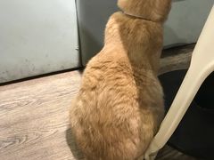 -小时光咖啡馆(开森度假森林店)