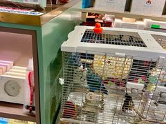 -遇外滩(BFC外滩金融中心店)