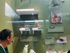 -国家自然博物馆