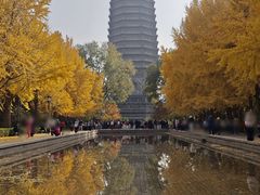 -玲珑塔公园