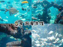 -长鹿旅游休博园