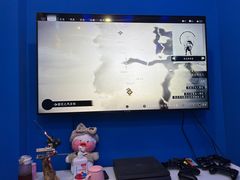 -浣熊部落ps4 ps5 switch 电玩(茶店子店)