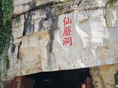 -仙蘑洞