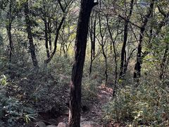 -灵岩山风景区