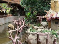 -长鹿旅游休博园