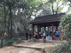 -西湖风景区十里琅珰-五云山