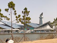-盐城丹顶鹤湿地生态旅游区