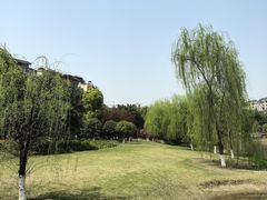 -沐仙湖湿地公园