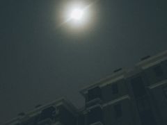 -阿婆五香蛋(水游城店)