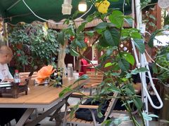 -鱼乐岛餐厅·户外花园主题餐厅