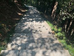 -大奇山国家森林公园