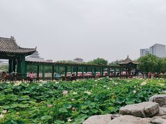 -莲花池公园