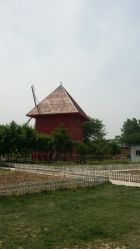 -上美四季动物农场