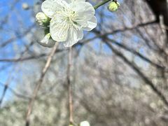 -梨园照相馆(北京店)