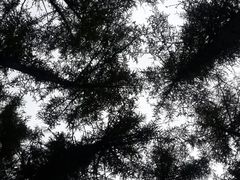 -洛阳白云山景区