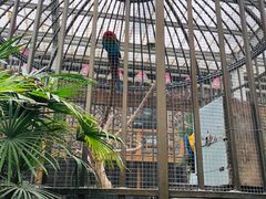 -南宫五洲植物乐园