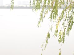 -艾溪湖湿地公园