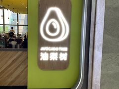 -油梨树AVOCADO TREE(望京店)