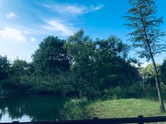 -梁鸿国家湿地公园