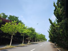 -养马岛旅游度假区