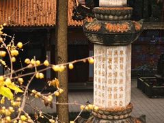 -都江堰普照寺