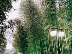 -苏州环秀晓筑养生度假村