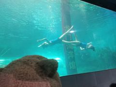 -洛阳龙门海洋馆