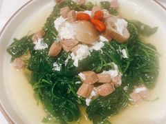 枸杞叶-北京厨房(SKP店)