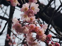 -堤角公园