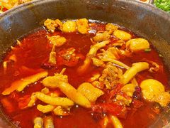 李子坝梁山鸡(红汤药膳麻辣味）-李子坝梁山鸡(李子坝大鸡哥店)