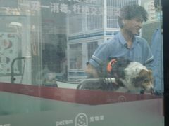 -宠物家(大兴旧宫店)