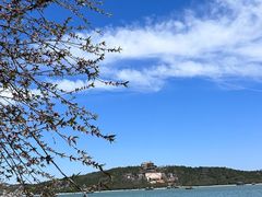 -颐和园