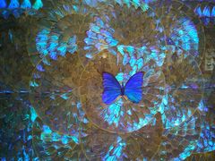 -上海昆虫博物馆