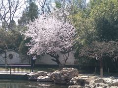 -宣武艺园