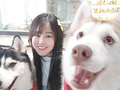 -Husky Go! 哈士奇体验馆·宠物咖啡厅狗咖