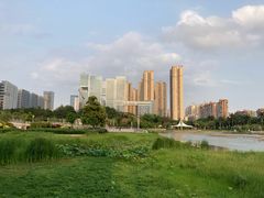 -文华公园(禅城区)