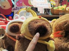 -酷乐潮玩(五道口购物中心店)