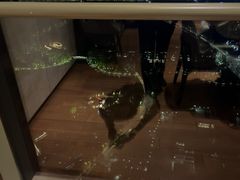 -嘉定凯悦·咖啡厅