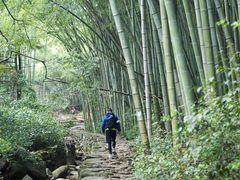 -会稽山峡洞漂流-上青古道
