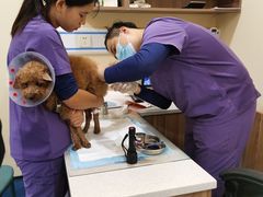 -萌兽医馆·犬猫专科·眼科中心·宠物医院(朝阳门分院)