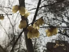 -丰台花园